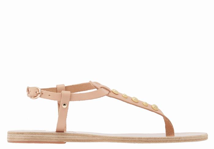 Sandales Bride Arrière Ancient Greek Sandals Lito Bee   | AAW-0390896